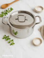 PLATINUM TRIPLY STAINLESS STEEL CASSEROLE/BRIYANI POT 18CM|20CM